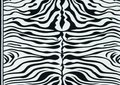 Vloerkleed-Zebra