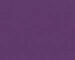 kleur purple