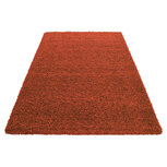 Terra vloerkleden Adriana Shaggy  1500/AY   Terra vloerkleden Adriana Shaggy  1500/AY